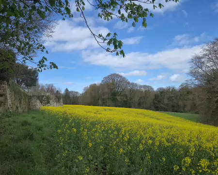20260405_151143 Château de Kergrist