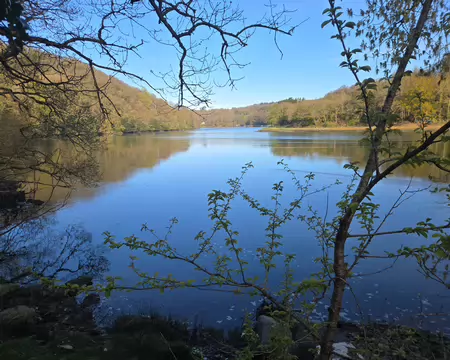 20260406_093645 Le Léguer à marée haute