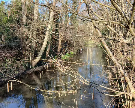 002 La Viosne traverse la commune de Chars du nord au sud, et se jette dans l’Oise à Pontoise