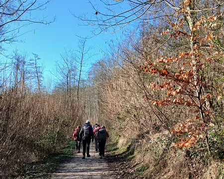 006 Sur le GR dans le bois du Moulin de Noisement