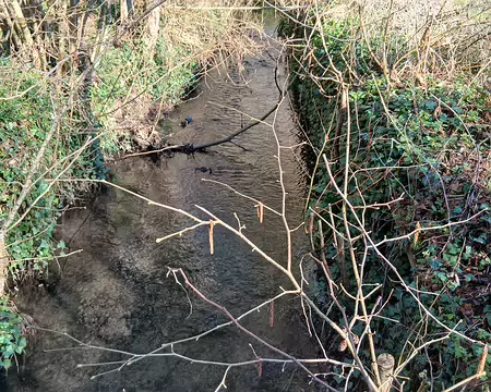 015 La Viosne au moulin de Noisement