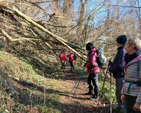 017 Progression difficile