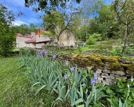 IMG_2236 A la Ferme de Leuzeu.