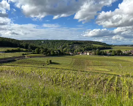 IMG_2286 Vignoble et combe d'Ambin à Chambolle-Musigny.