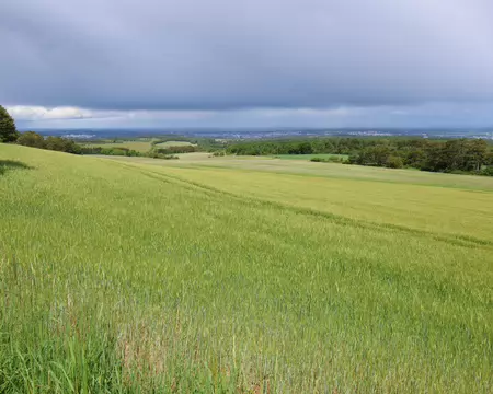 Sentier_Felix_Batier_016