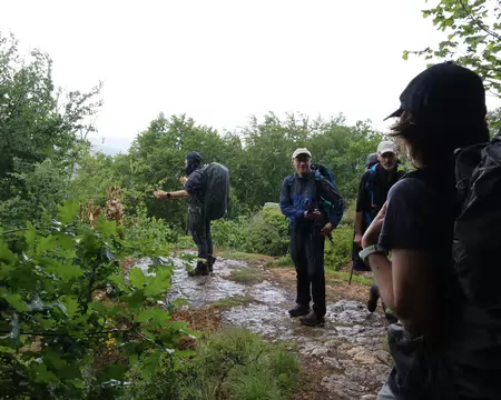Sentier_Felix_Batier_020 Appel de la pluie !