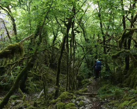 Sentier_Felix_Batier_156