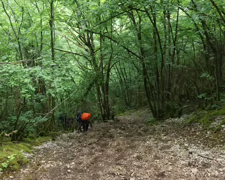 Sentier_Felix_Batier_173