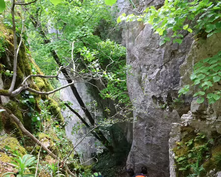 Sentier_Felix_Batier_208 Descente délicate jusqu'à la D122h.