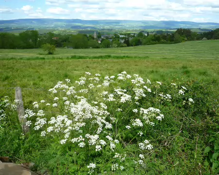 2026-05-20 16-18-43 Arrivée sur Faverolles