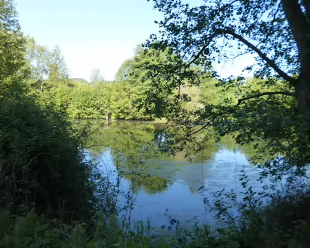 P1230026 Etang de Champfailly