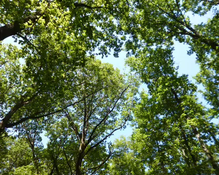 P1230030