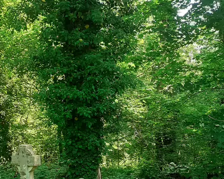 20260525_120103