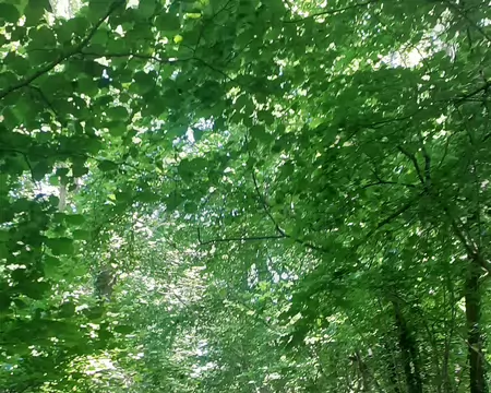 20260525_153214