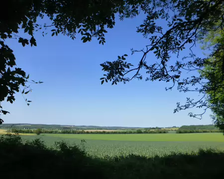 P1220981