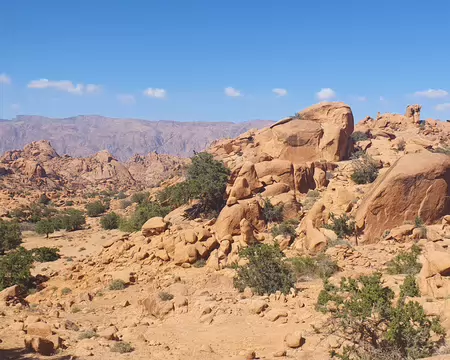20260507_163632