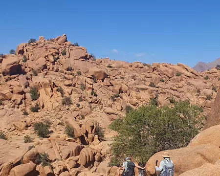 20260507_164448