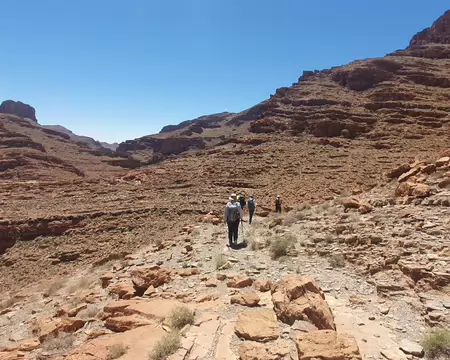 20260510_121543