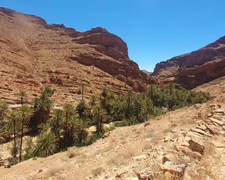 20260510_123658