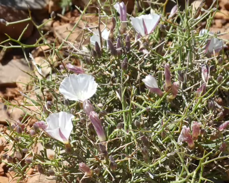 P1120472
