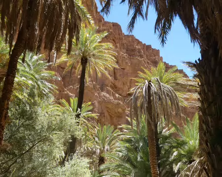 P1120520