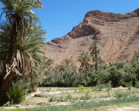 P1120567