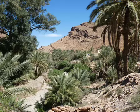 P1120572