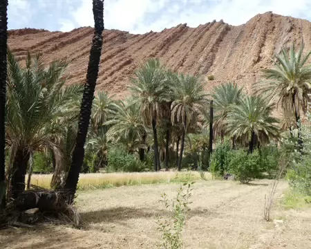 P1120632