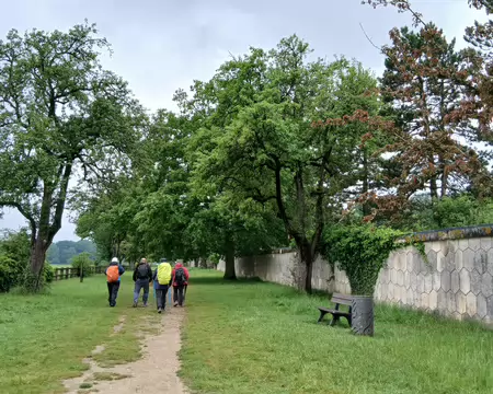 008 L’allée des Pommiers est bordée de pommiers et poiriers centenaires. A droite de l’allée, le mur d’enceinte de l’ancien domaine Dassault, aujourd’hui propriété...