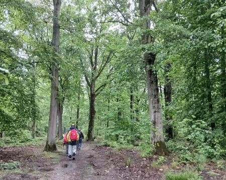 009 La forêt des Hautes Bruyères appartient au GRI France Valley Patrimoine qui regroupe 10 000 particuliers associés dans un but patrimonial et environnemental
