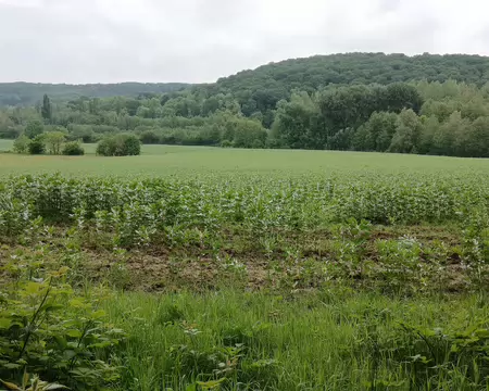 018 Paysage rural