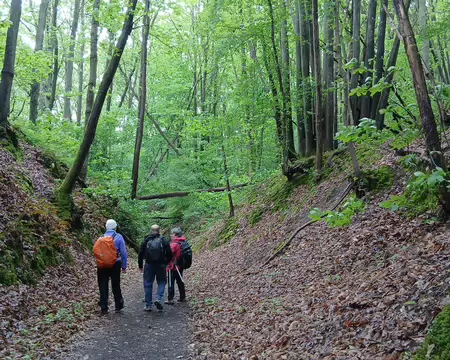 019 Chemin creux