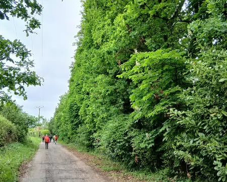 025 Sur le chemin