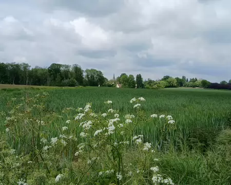 029 Au loin, le village du Tremblay-sur-Mauldre