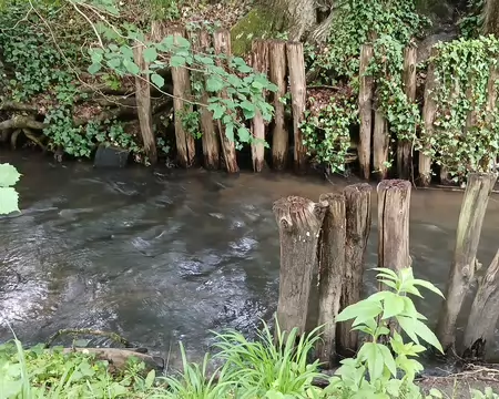 035 La Mauldre, longue de 35 km, est un affluent de la Seine. Elle prend sa source près de Coignières