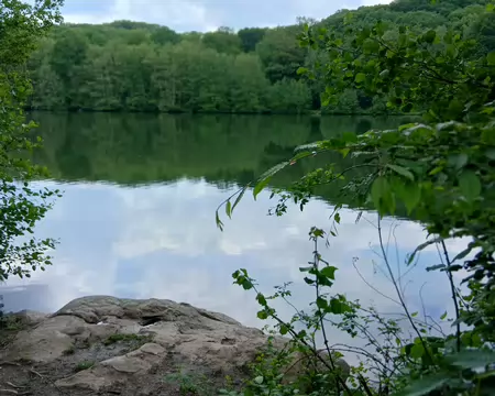 041 Le Grand Etang est alimenté par la Mauldre