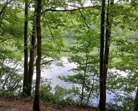042 Le Grand Etang