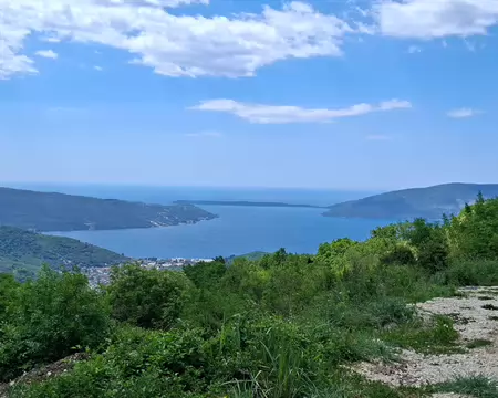 20260503_120438