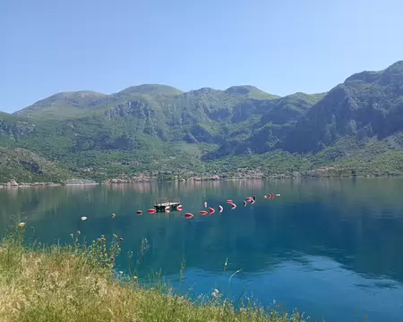 IMG_20260504_104243744_MFNR