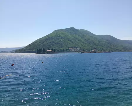 IMG_20260504_141300330_MFNR