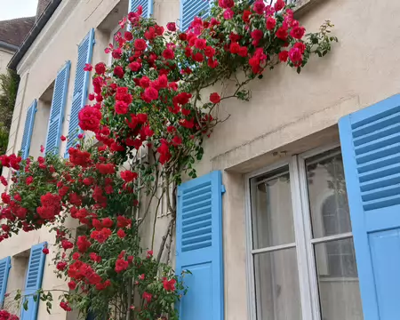 020 Roses (rue Saint-Laurent)