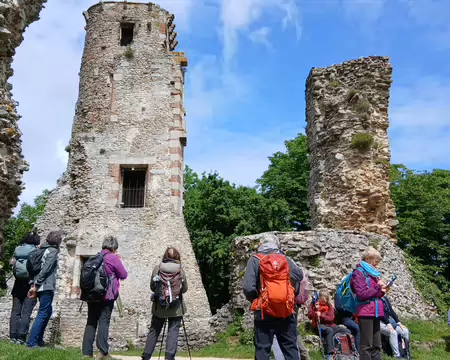 026 La Tour d’Anne de Bretagne (fin XVème siècle) et les vestiges du château médiéval (XIIème siècle) construit par Amaury Ier. Ces ruines sont classées monument...
