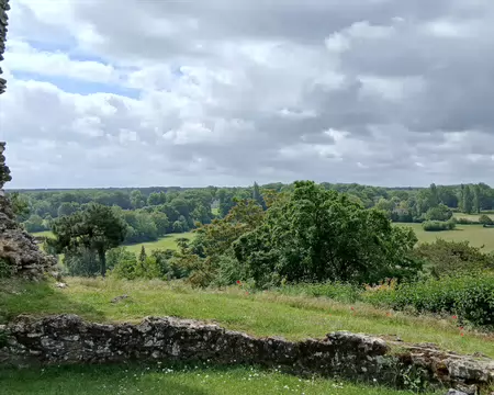 027 Depuis les ruines (185 m d’altitude), vue sur la forêt de Rambouillet au sud