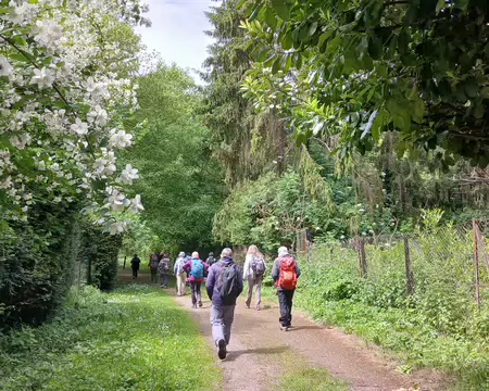 030 Après la visite de Montfort-l’Amaury, départ pour une randonnée en boucle dans la forêt de Rambouillet par le chemin du Val
