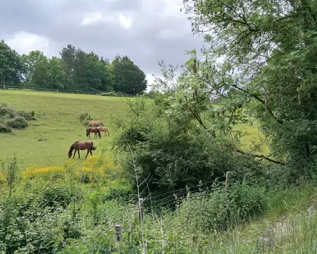 031 Campagne