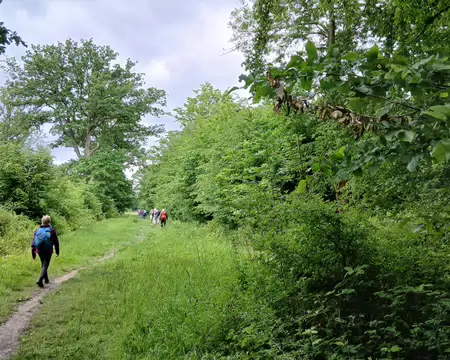 035 Sur le chemin de la Rigole en direction de la forêt de Rambouillet