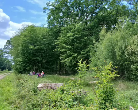 036 Pique-nique en lisière de forêt