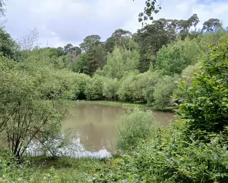 038 L’étang des Maurues