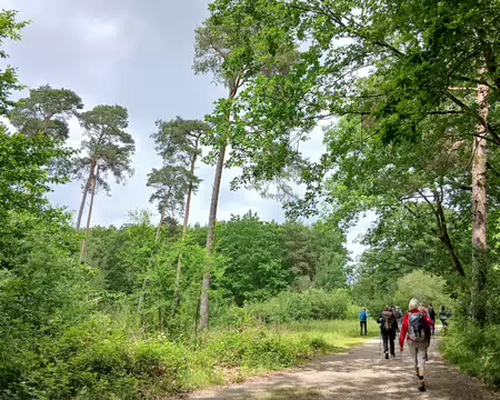 039 Sur la route Belsédène