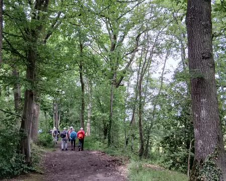 045 Un chemin longe l’étang de la Plaine à l’est